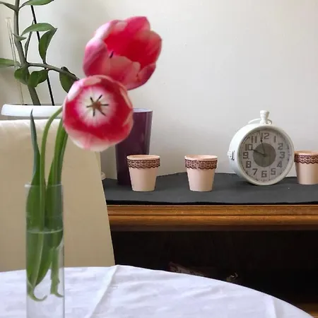 Apartman Tuzla Tuzla