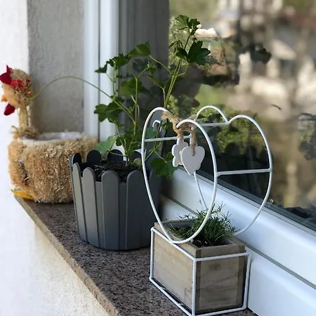 Tuzla Apartman *